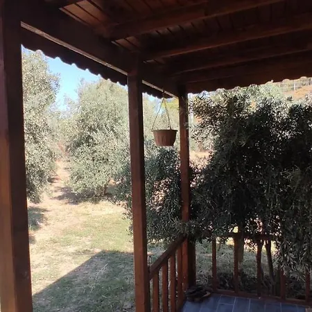 Olive Garden Bungalow * Fethiye