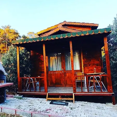 Holiday home Olive Garden Bungalow