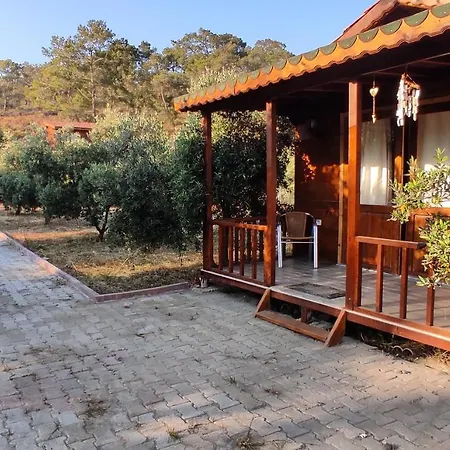 Olive Garden Bungalow Holiday home *