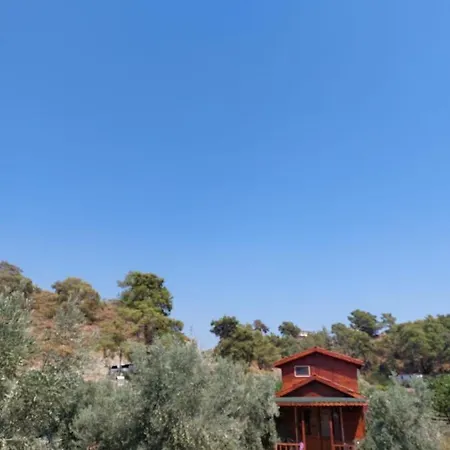 Olive Garden Bungalow * フェティエ