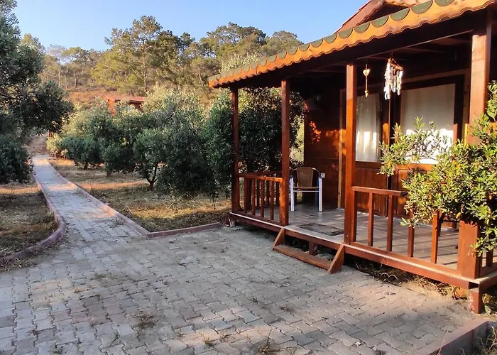 Olive Garden Bungalow Ferienhaus *