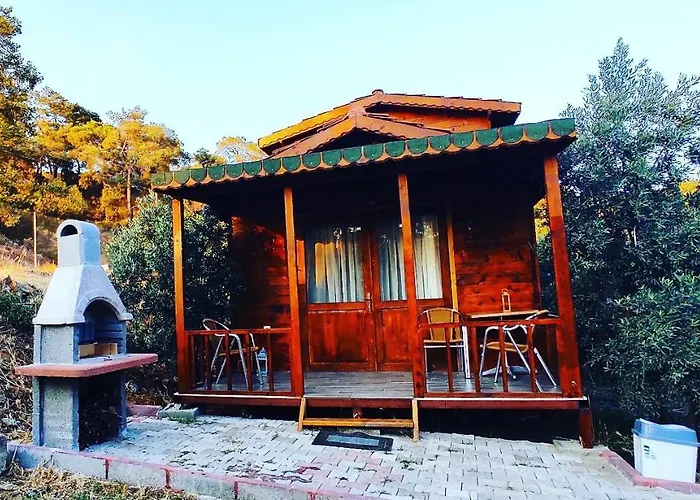 Ferienhaus Olive Garden Bungalow